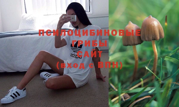MDMA Premium VHQ Михайловка